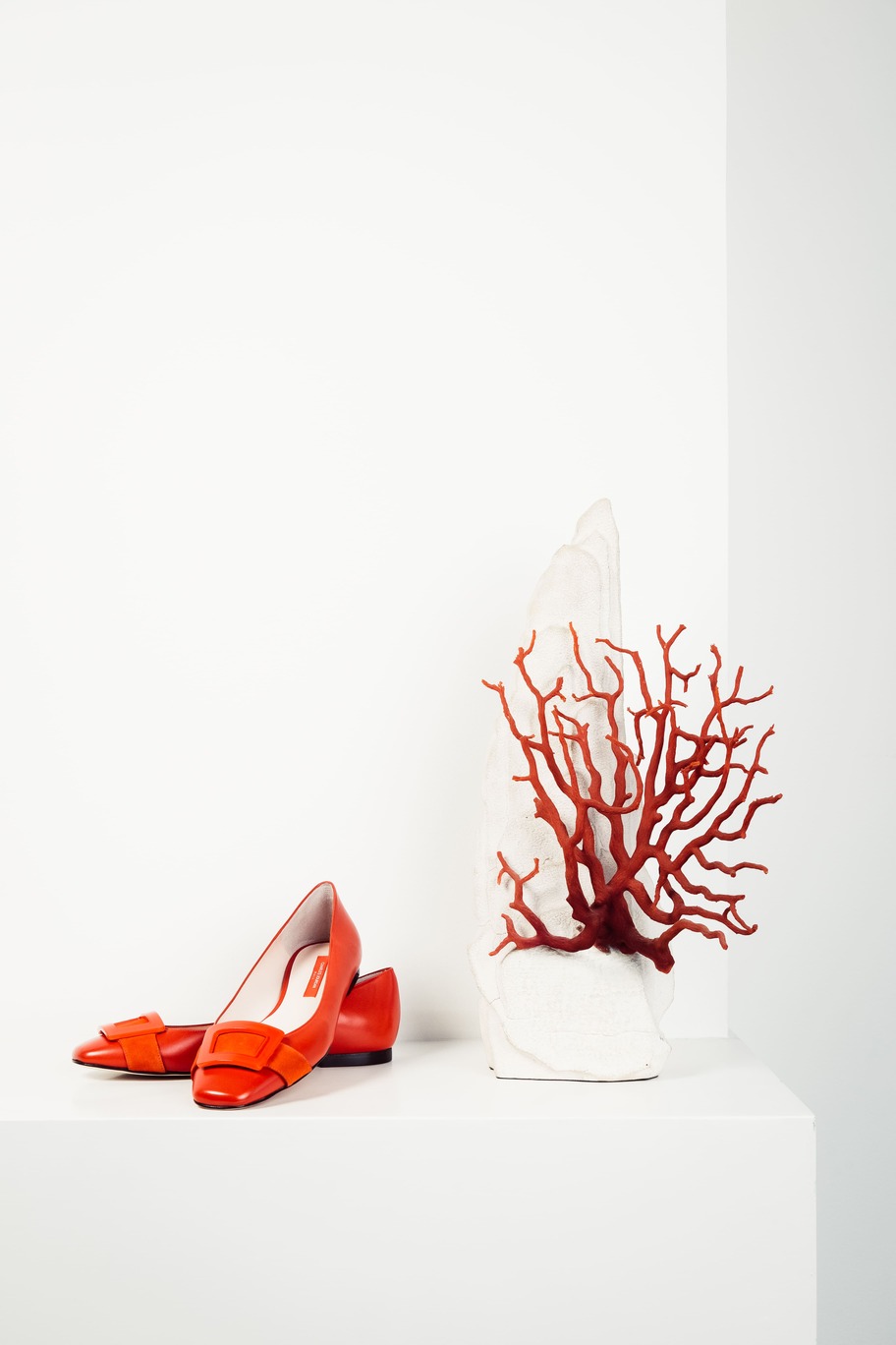 lucie-sassiat-belle-de-cercy