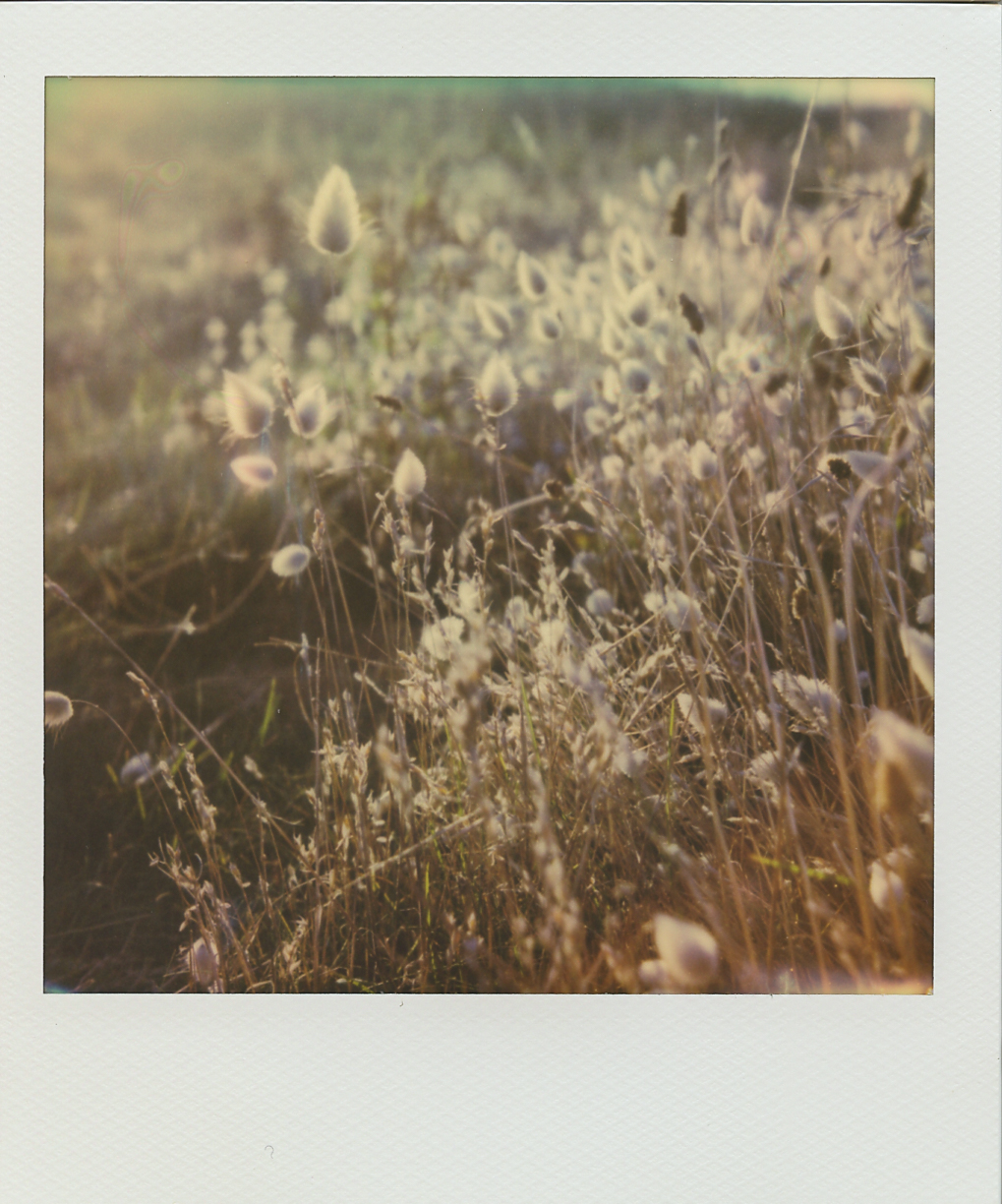 lucie-sassiat-belle-de-cercy