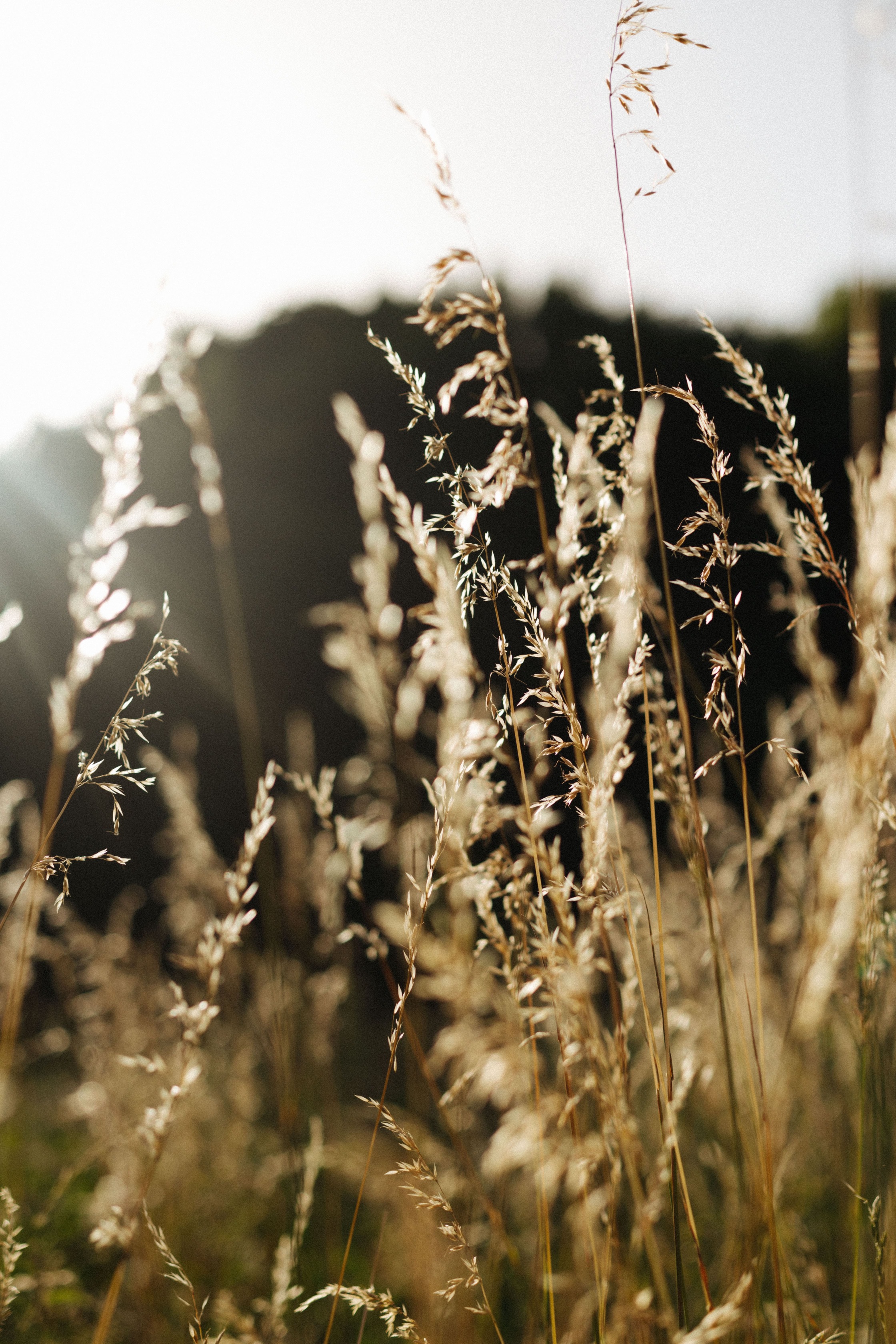 lucie-sassiat-belle-de-cercy