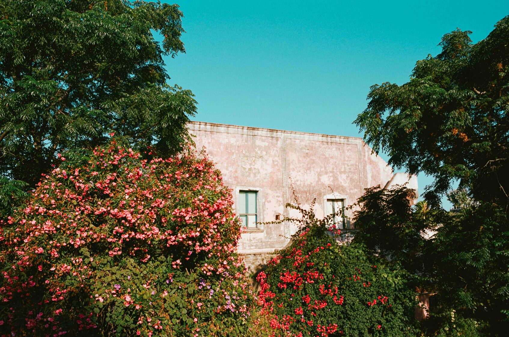 lucie-sassiat-belle-de-cercy