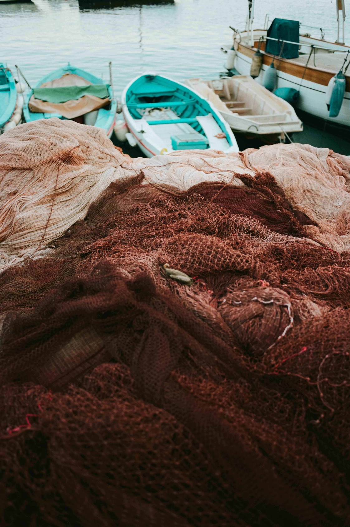 lucie-sassiat-belle-de-cercy